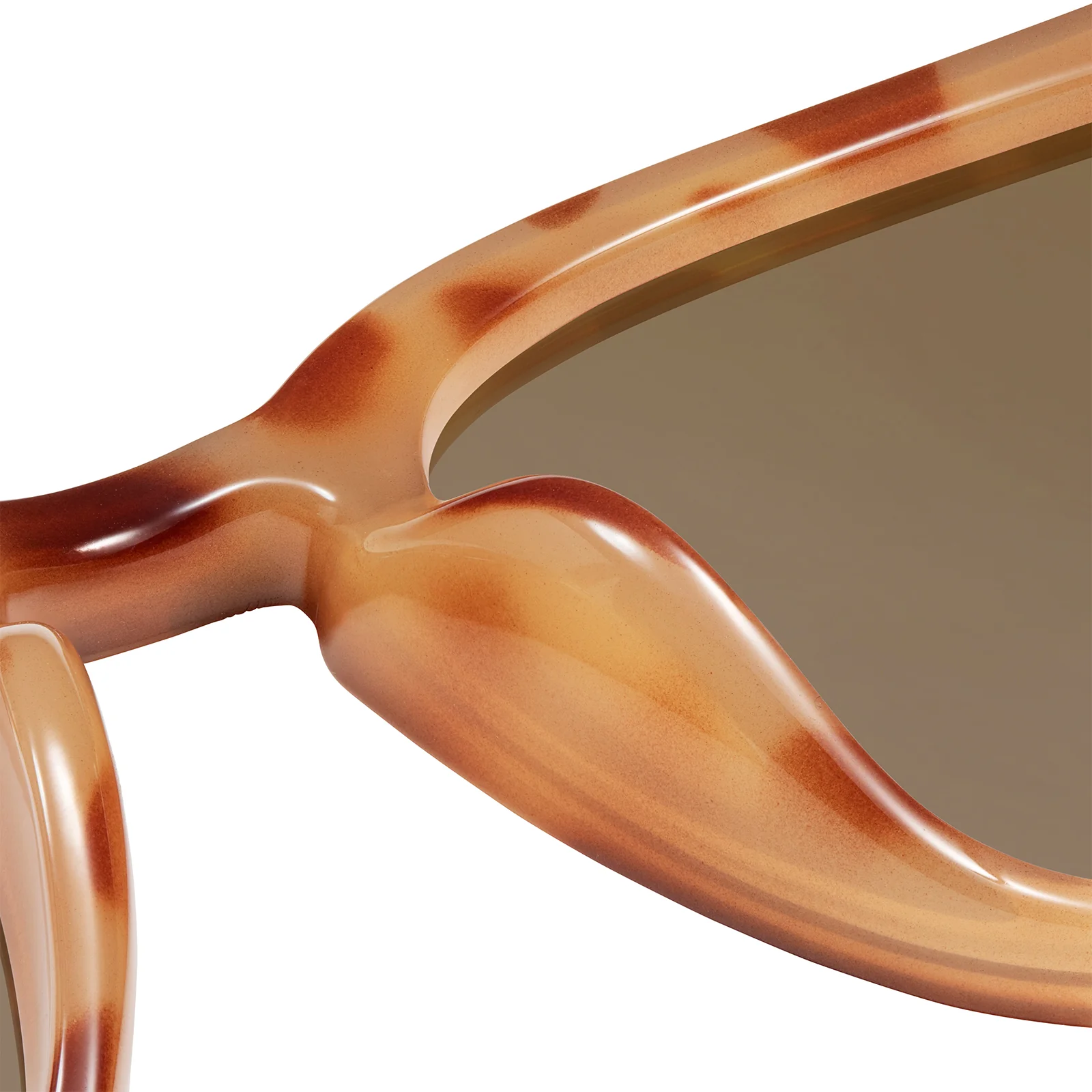 Glossy Blonde Tortoise Shell / Amber Paso Robles - Image 5